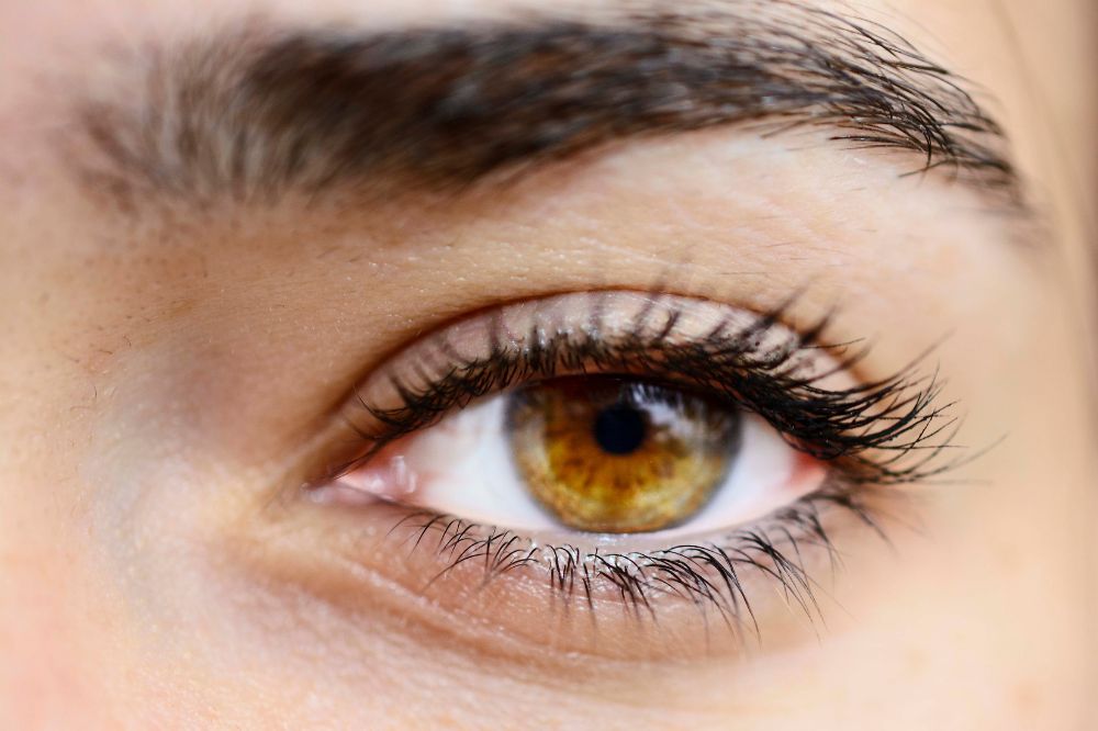 Unterlid Auge